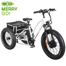 Electric Vehicle Tricycle E Trike in India Market